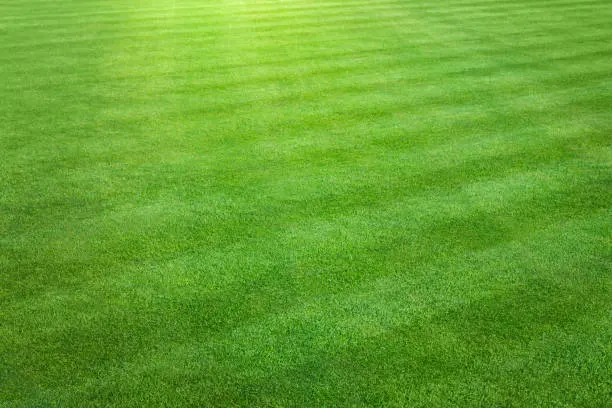 Lawn Care Checklist in Katonah, NY