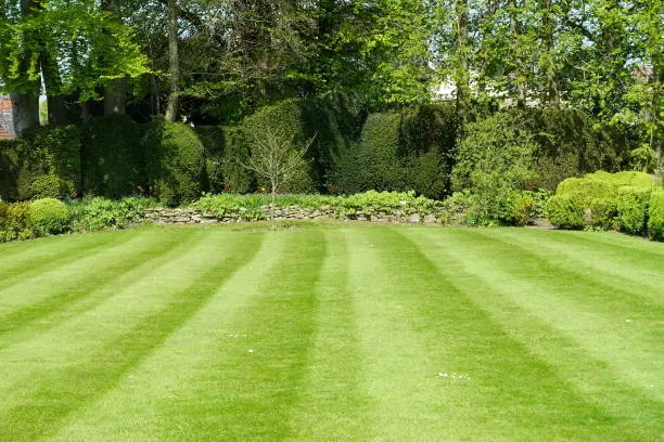 Lawn Care Checklist in Katonah, NY
