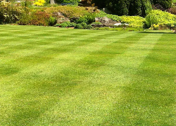 Lawn Care Ideas in Katonah, NY
