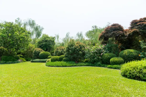 Lawn Care Ideas in Katonah, NY